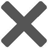 Delete Icon